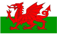 Load image into Gallery viewer, Large Welsh Dragon Brooch