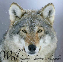 Load image into Gallery viewer, Mac Tíre Wolf Necklace in Sterling Silver