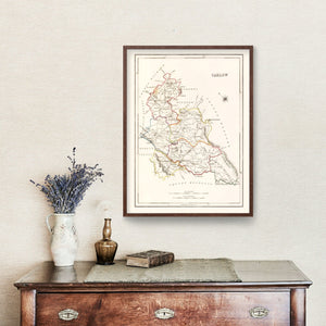 Vintage Map of Carlow County Ireland, 1846
