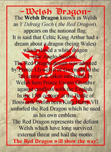 Load image into Gallery viewer, Gwynedd Welsh Dragon Brooch

