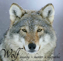 Load image into Gallery viewer, Celtic Wolf Spirit Earrings in Sterling Silver

