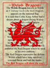 Load image into Gallery viewer, Large Welsh Dragon Brooch
